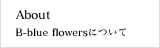 About B-blue flowersについて